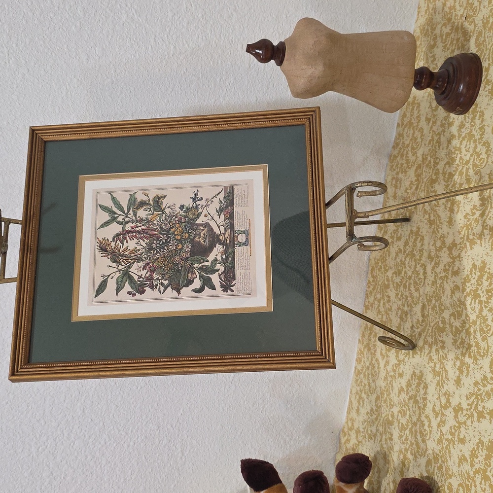 Robert Furbe's Twelve Months Of Flowers Series Framed Botanical Art Print